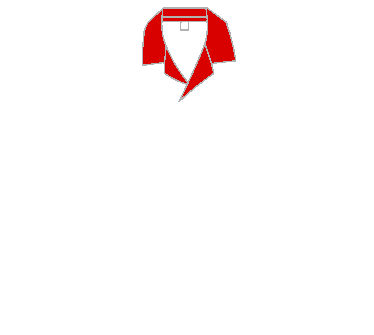 セミオーダー ゲームシャツ Gsシリーズ オリジナルゲームシャツ ダーツシャツ製作 ワッペン屋ドットコム